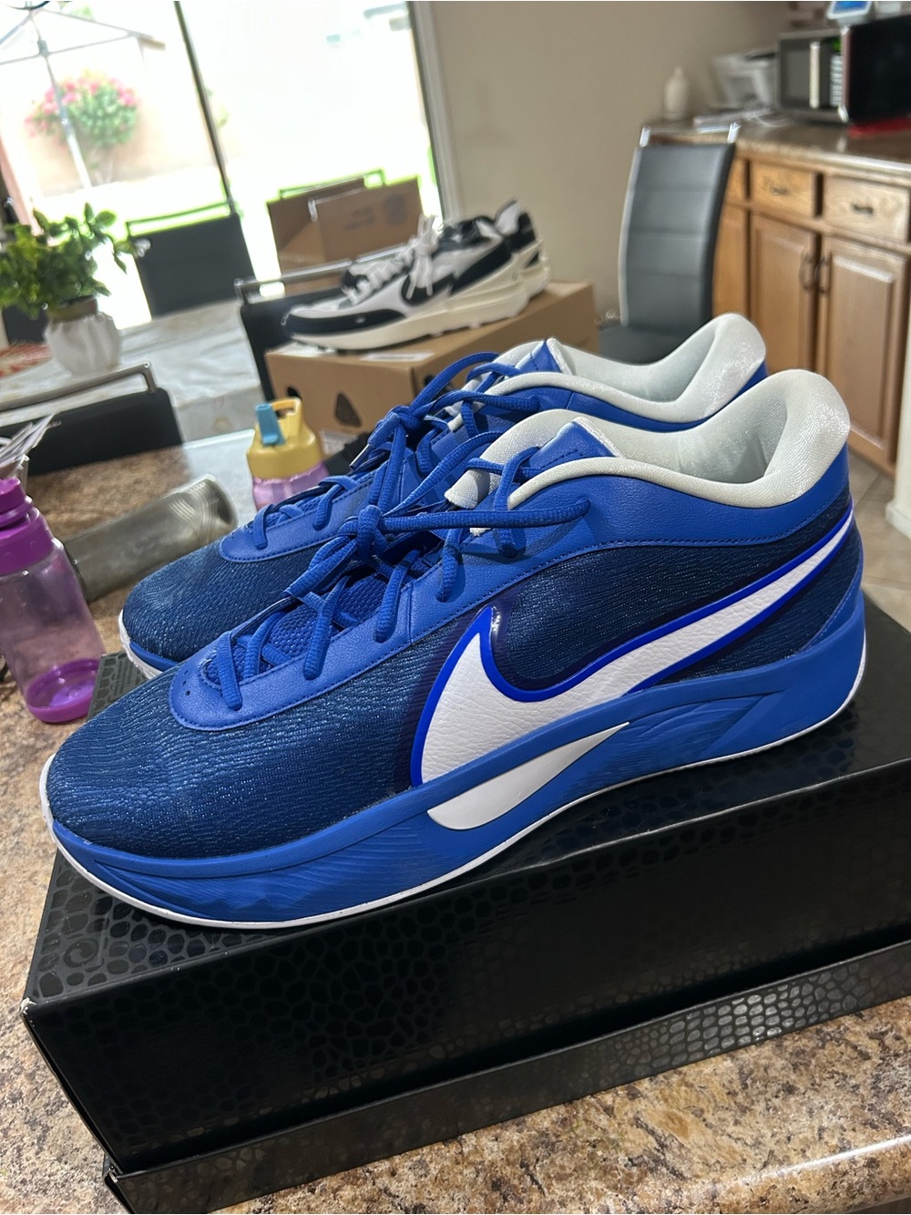 Nike Zoom Freak 6 TB 'Game Royal Men’s Basketball Shoes Size 16 Brand New/No Box